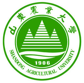 2024泰安本科大学名单（共4所）