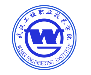 武汉工程职业技术学院是本科还是专科院校？