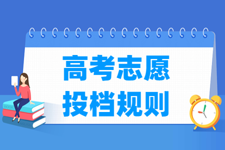 2023上海高考志愿投档规则与比例