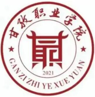 甘孜职业学院是公办还是民办？