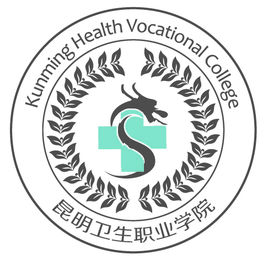 昆明卫生职业学院是公办还是民办？