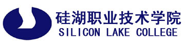 硅湖职业技术学院是几本学校？