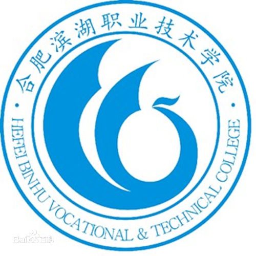 合肥滨湖职业技术学院是公办还是民办？