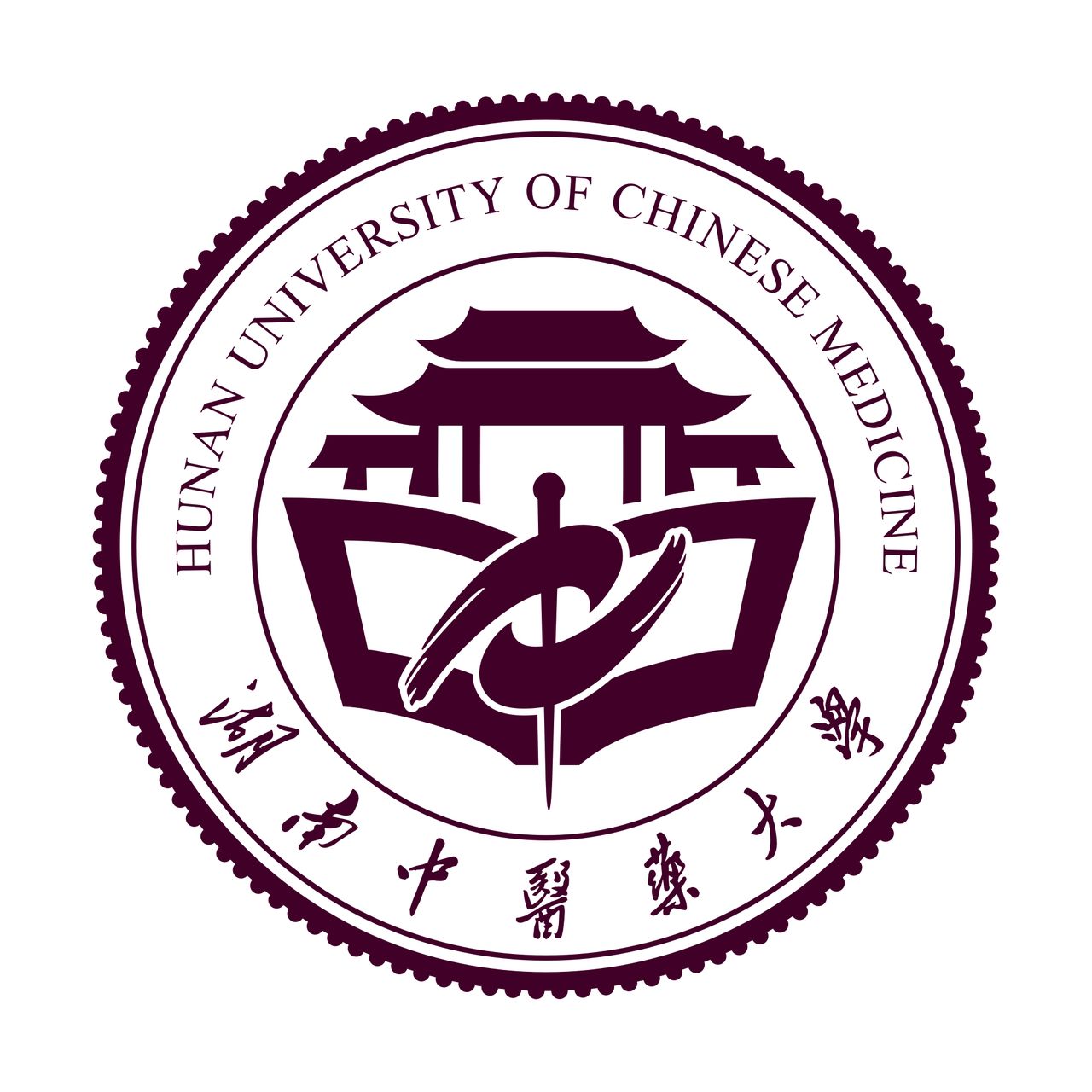 湖南中医药大学是985高校吗？