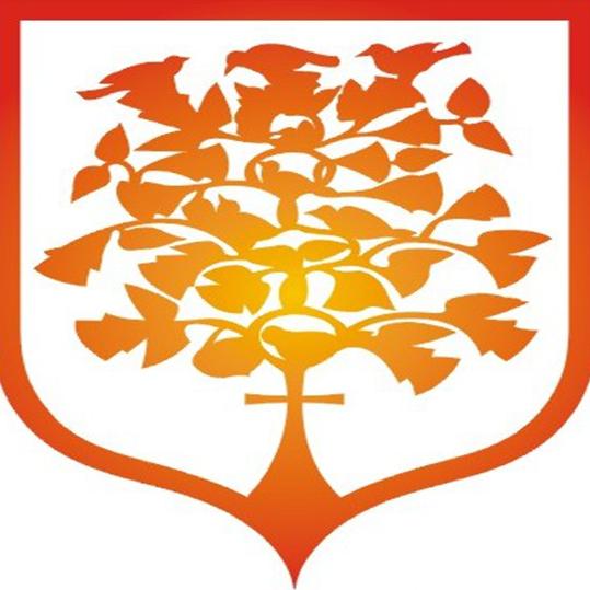 贵州盛华职业学院属于双高计划院校吗？