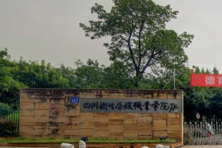 四川卫生康复职业学院是否为双高计划院校？