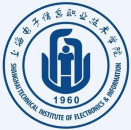 上海电子信息职业技术学院学校代码12499