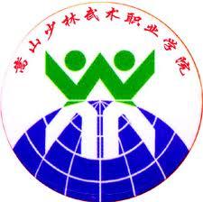 嵩山少林武术职业学院是大专还是中专？