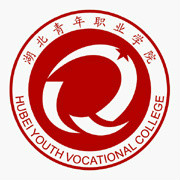 湖北青年职业学院是大专还是中专？