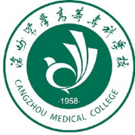 沧州医学高等专科学校是否为双高计划院校？”