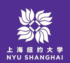 上海纽约大学有哪些重点学科和专业？”