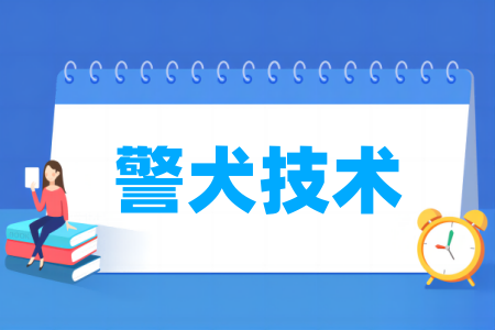 青岛幼儿师范高等专科学校专业介绍