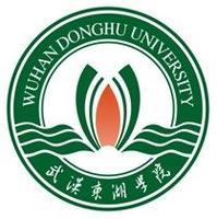武汉东湖学院艺术专业有哪些？