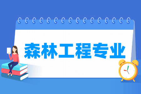 开设森林工程专业的大学名单