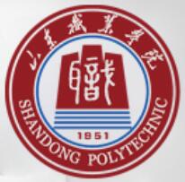 2024山东职业学院中外合作办学招生计划及专业人数”