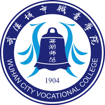 2024武汉城市职业学院中外合作办学招生计划及各专业人数