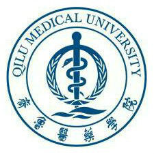 齐鲁医药学院最强专业是什么