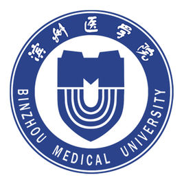 2024滨州医学院中外合作办学招生计划及专业人数
