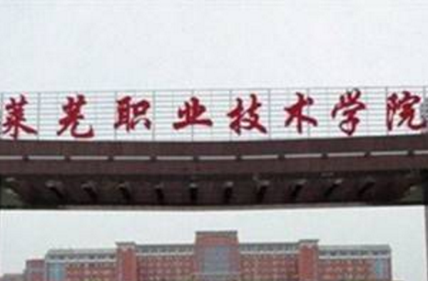 莱芜职业技术学院优势专业排名