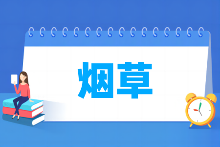 烟草<a href=https://www.211g.cn/tag/zhuanye.html target=_blank class=infotextkey>专业</a><a href=https://www.211g.cn/tag/daxue.html target=_blank class=infotextkey>大学</a>排名