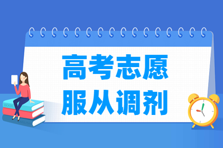 2025湖南高考志愿是否有服从调剂选项？