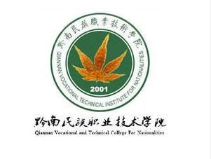 黔南民族职业技术学院艺术类招生计划及各专业招生人数