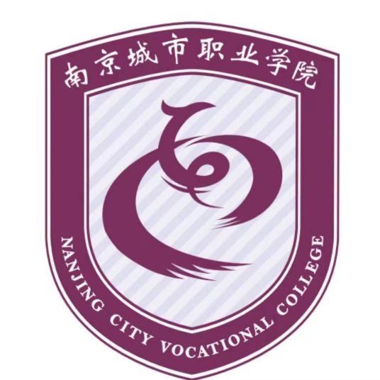 2025南京城市职业学院艺术类招生规则