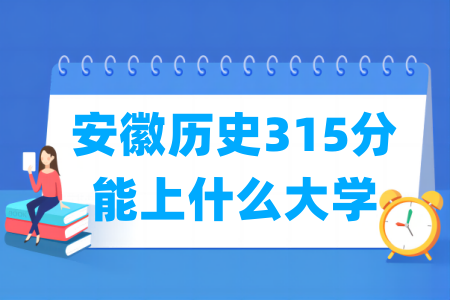 2025安徽历史315分可选大学汇总
