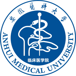 2025安徽医科大学临床医学院录取规则与投档比例