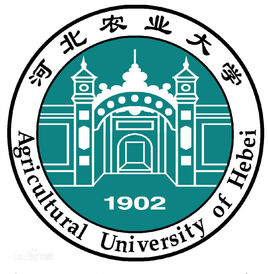 河北农业大学现代科技学院奖学金种类及金额解析