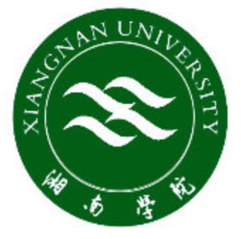 湘南学院中外合作办学学费标准一览