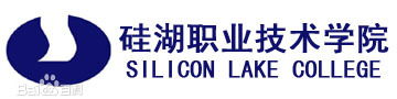 2025硅湖职业技术学院艺术类学费标准