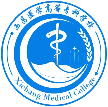 2025西昌医学高等专科学校单招学费标准