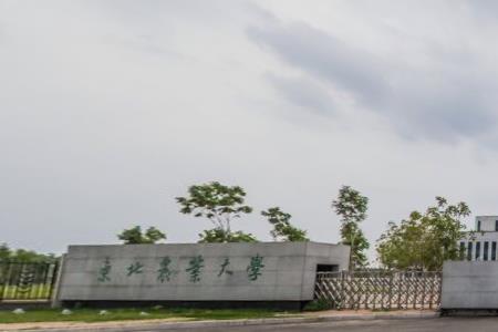 东北农业大学奖学金种类及金额解析