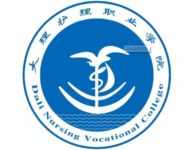 大理护理职业学院专业介绍